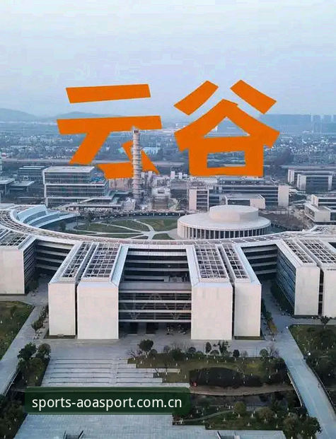 2024最新进展：AOA体育下载安装体验深度评测，专业体育赛事投注平台表现如何？